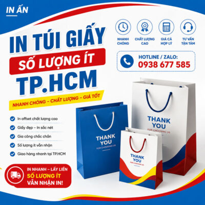 In Túi Giấy Số Lượng Ít TP.HCM – In Nhanh, Giá Hợp Lý, Thiết Kế Theo Yêu Cầu